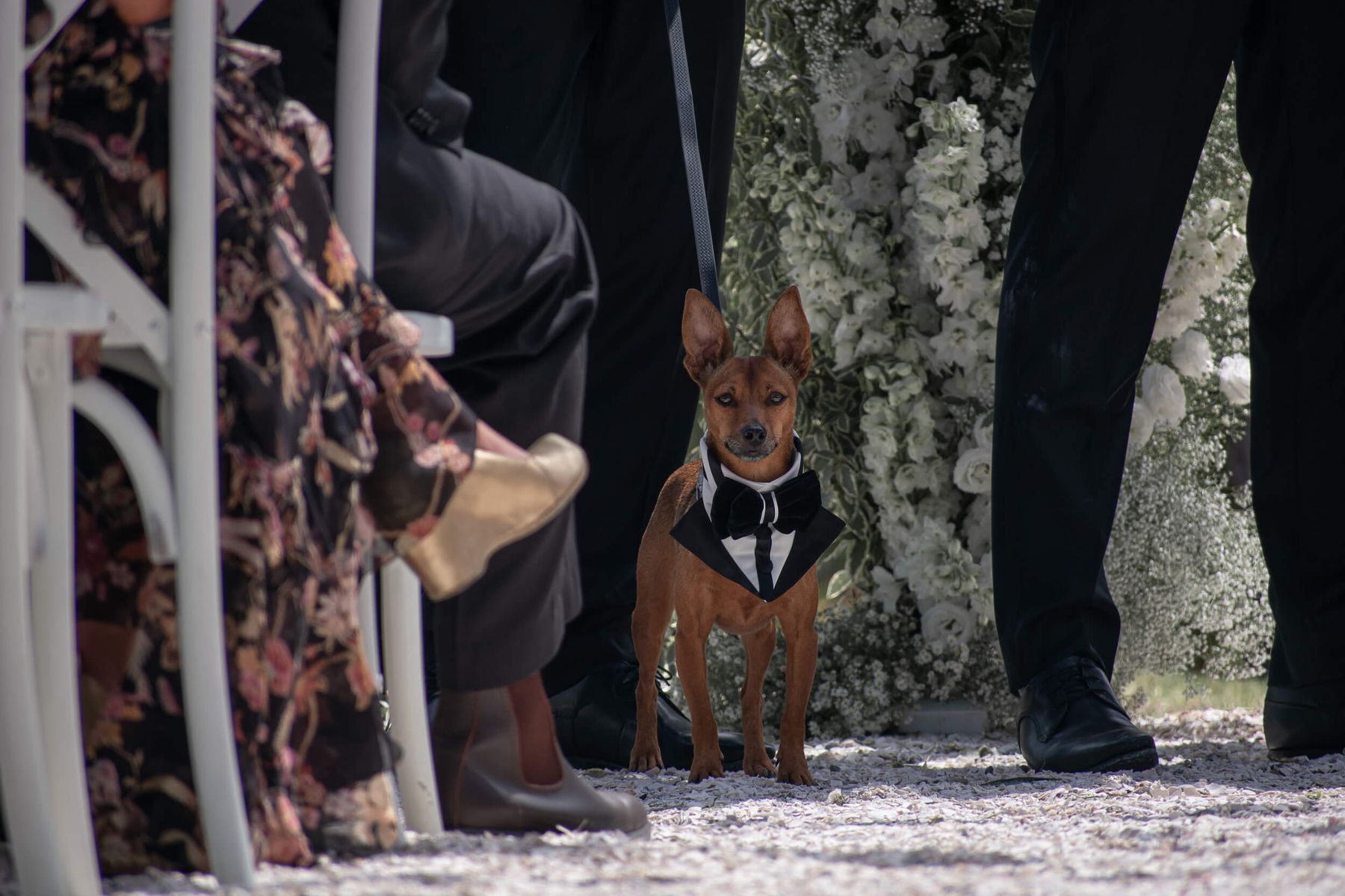 Bella & Julyan's wedding gallery