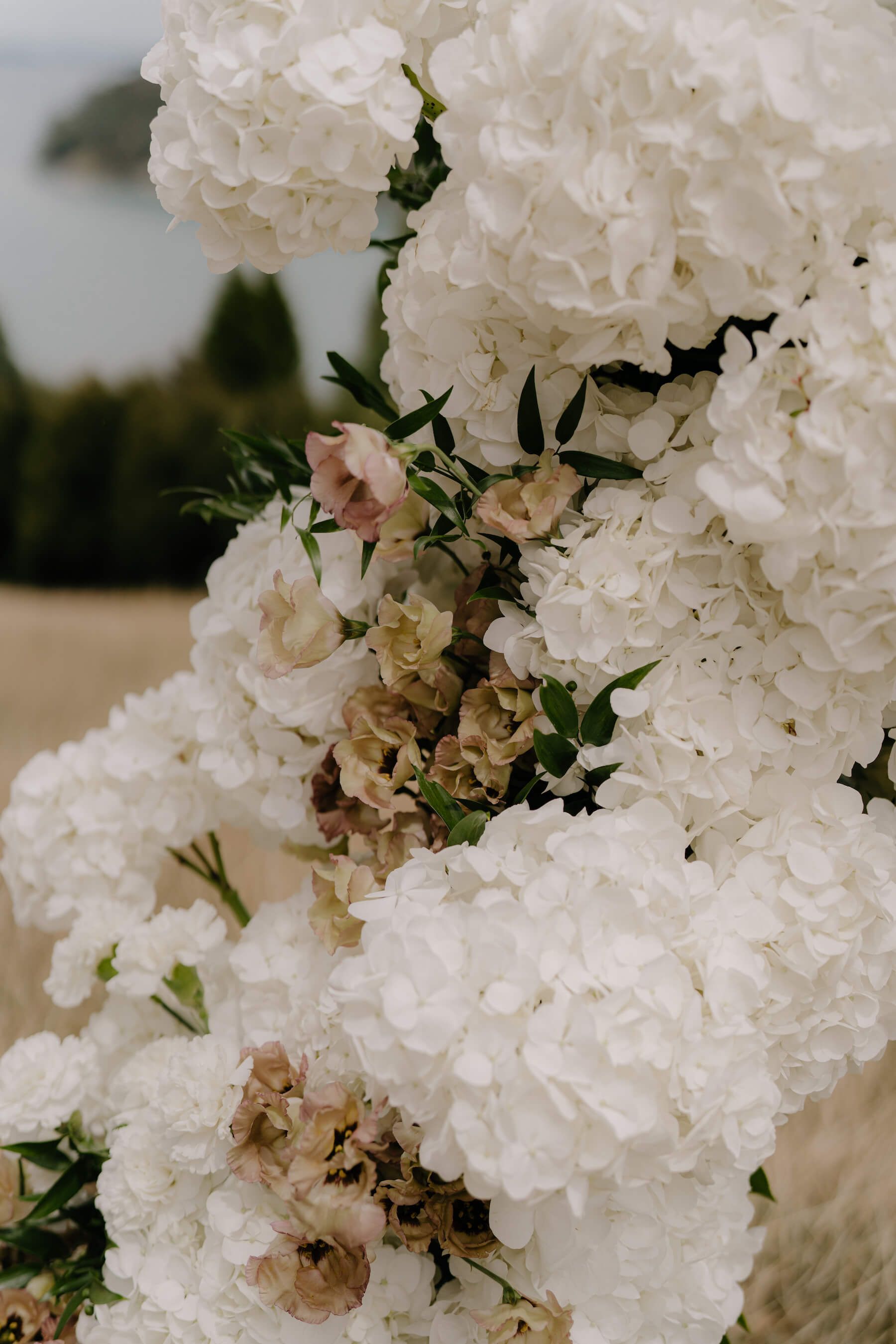 Bronwyn & Geoff's wedding gallery