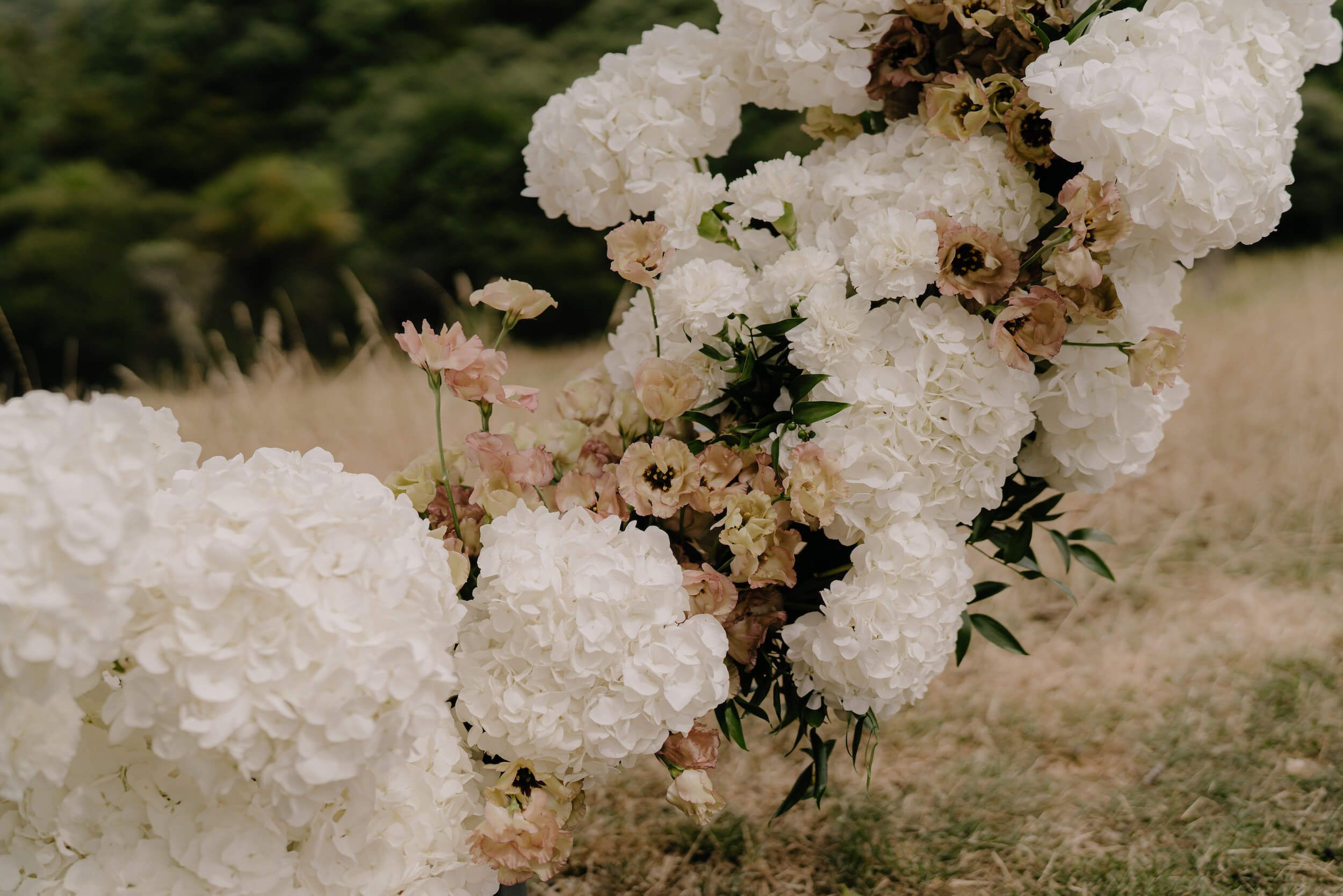 Bronwyn & Geoff's wedding gallery